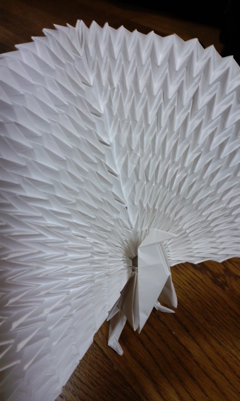 折り紙 ハーフ模造紙 孔雀 さらに細かく もえせんプロジェクト
